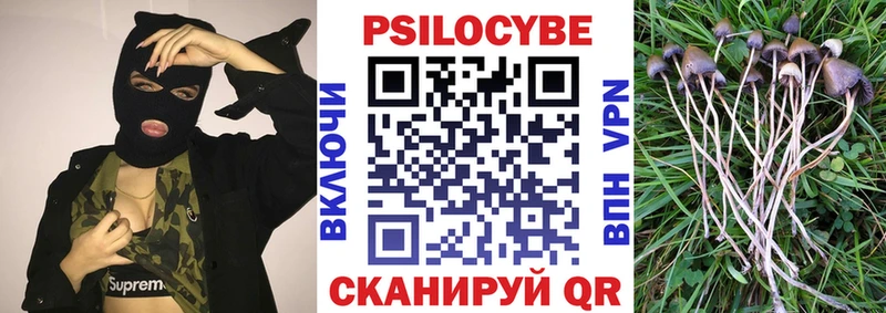 Галлюциногенные грибы Psilocybine cubensis  Муром 