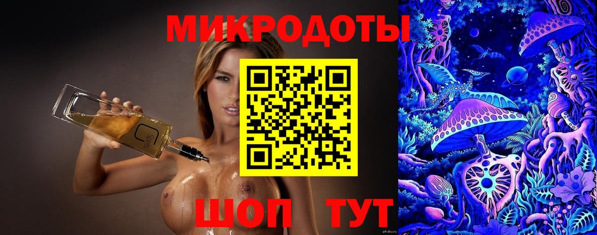 Псилоцибиновые грибы Psilocybe Муром