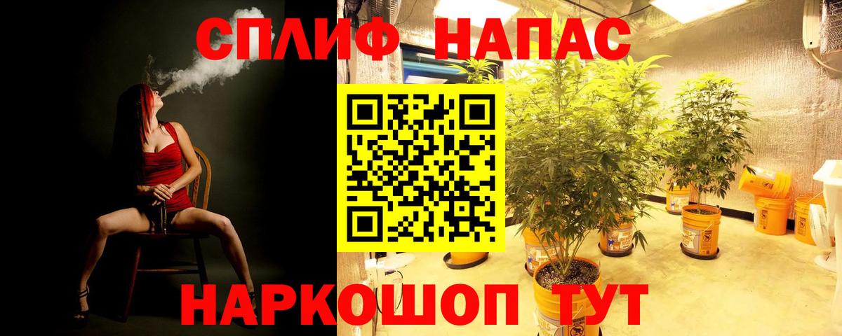 Шишки марихуана Ganja  Шишки марихуана планчик  МАРИХУАНА OG Kush  Шишки марихуана семена  Муром 